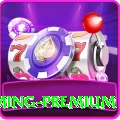 dravid Gaming Premium